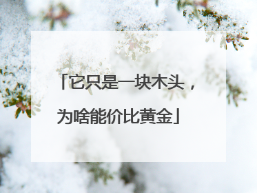 它只是一块木头，为啥能价比黄金